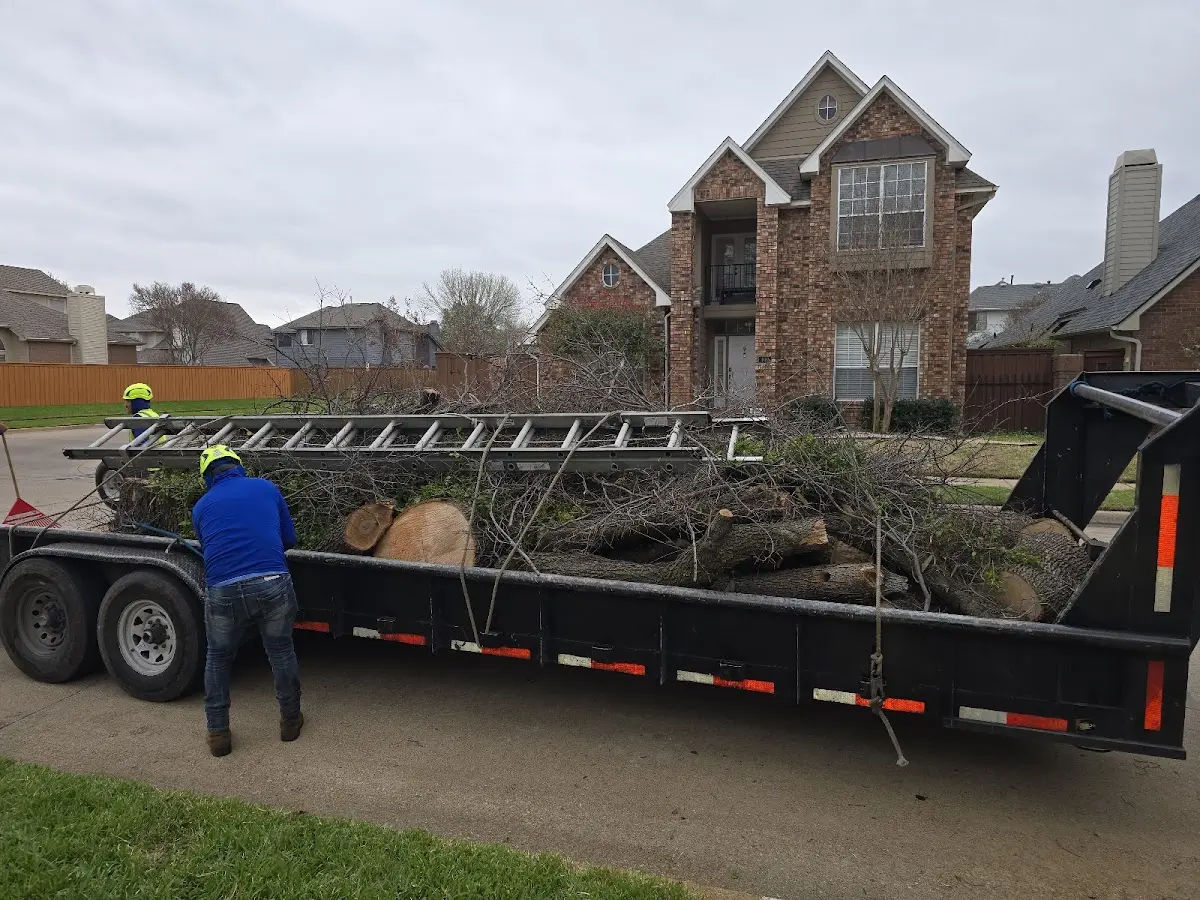 Expert Tree Fertilization with proper safety equipment in Unadilla